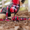 Load image into Gallery viewer, Frenchie Dog Hoodie - Scarlet Plaid