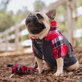 Load image into Gallery viewer, Frenchie Dog Hoodie - Scarlet Plaid