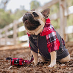 Frenchie Dog Hoodie - Scarlet Plaid