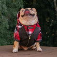 Load image into Gallery viewer, Frenchie Dog Hoodie - Scarlet Plaid