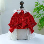 Red Velvet & Lace Holiday Party  Dog Dress