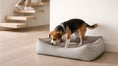 Load image into Gallery viewer, Bowsers Scoop Bolster Dog Bed in harper-stripe