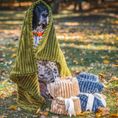 Load image into Gallery viewer, Scout Blankie Double-Sided Plush Dog Blanket - image 14