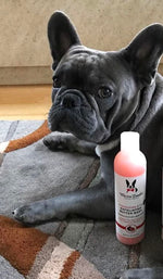 Exfoliating Butter Wash Dog Shampoo Gallons - With Natural Jojoba Beads