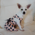 Load image into Gallery viewer, Gray Polka Dot Party Dress - Southlake Paws