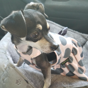 Gray Polka Dot Party Dress