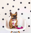 Load image into Gallery viewer, Bree Rope Dog Leash