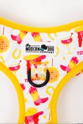 Load image into Gallery viewer, The Modern Dog Company - Yeehaw Harness