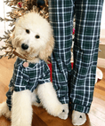 Load image into Gallery viewer, Green Plaid Flannel Matching Human Pajamas - Southlake Paws