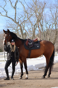 Load image into Gallery viewer, Jump Saddle Pad | Black Ice