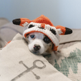 Load image into Gallery viewer, Foxy Hoodie Dog Sweater