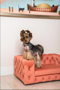 Load image into Gallery viewer, The Glamour Luxury Pet Bed in Pink