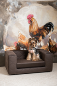 Load image into Gallery viewer, The Mystique Luxury Pet Sofa Bed Brown