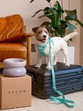 Load image into Gallery viewer, PADDED ACTIVE PET LEASH - MINT GREEN