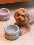 Load image into Gallery viewer, Soufflé Pet Bowl - Frozen Blue