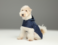 Load image into Gallery viewer, Capsule Raincoat - Blue