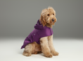 Load image into Gallery viewer, Capsule Raincoat - Purple