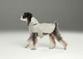 Load image into Gallery viewer, Capsule Raincoat - Beige