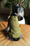Load image into Gallery viewer, CHILL VEST SHIRT - GREEN