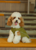 Load image into Gallery viewer, CHILL VEST SHIRT - GREEN