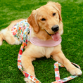 Load image into Gallery viewer, Floral Burst Harness in Cherry Blossom Pink