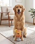 Load image into Gallery viewer, Haute Toddy