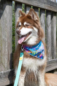 Load image into Gallery viewer, Sea Turtle Swim Dog Bandana - Southlake Paws
