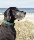 Load image into Gallery viewer, Up Country Sea Turtle Cast Brass Dog Collar