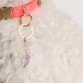 Load image into Gallery viewer, Seahorse Pet Charm