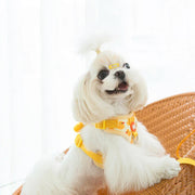 Duck Dog Harness and Leash Set
