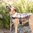 Load image into Gallery viewer, Up Country Shacket Pet Accessory