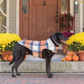 Load image into Gallery viewer, Up Country Shacket Pet Accessory