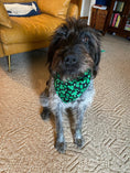 Load image into Gallery viewer, Shamrock St Patrick's Bandana