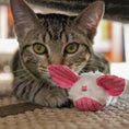 Load image into Gallery viewer, HuggleKats® Dust Bunnies Cat Toys, 3 Pack - image 12