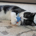Load image into Gallery viewer, HuggleKats® Chickies Cat Toys, 3 Pack - image 8