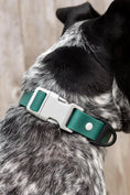 Load image into Gallery viewer, Siberian Spruce Waterproof Dog Collar - Southlake Paws