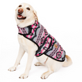 Load image into Gallery viewer, Sienna Dog Blanket Coat