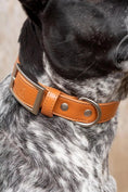 Load image into Gallery viewer, Sierra Sunrise Vegan Leather Dog Collar - Southlake Paws