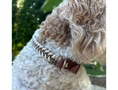 Load image into Gallery viewer, Fishtail Hand Braided Dog Collar in Tan & Cream - Southlake Paws