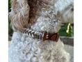 Load image into Gallery viewer, Fishtail Hand Braided Dog Collar in Tan & Cream - Southlake Paws