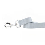 Silver Nylon Dog Leash