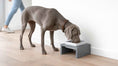 Load image into Gallery viewer, Bowsers Moderno Single Wood Dog Bowl Feeder in grey