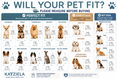 Load image into Gallery viewer, Katziela Rolling Rover Airline Compliant Expandable Wheeled Pet Carrier