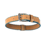 Sky Blue Cross Dog Collar