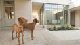 Load image into Gallery viewer, Bowsers Designer Slip Dog Collar in durango-caramel
