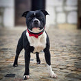 Load image into Gallery viewer, The "Bowtie" collar black