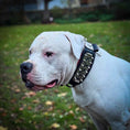 Load image into Gallery viewer, The "Kennel" collar- personalized!