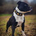 Load image into Gallery viewer, The "Maximus" collar 2 inch wide gold decoration