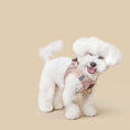 Load image into Gallery viewer, SoHo Dog Harness - Blush Pink