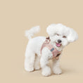 Load image into Gallery viewer, DOGISTRY SoHo Dog Harness - Blush Pink